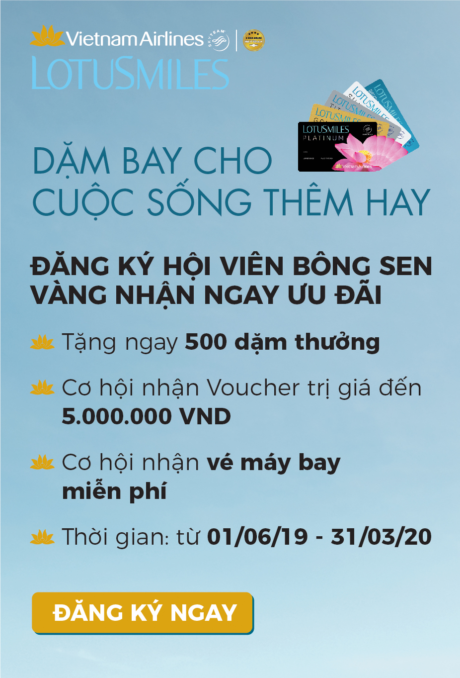 promo_vna
